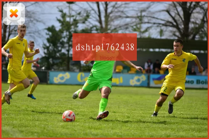 dshtpl762438