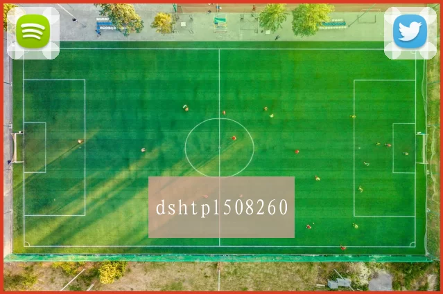 dshtpl508260